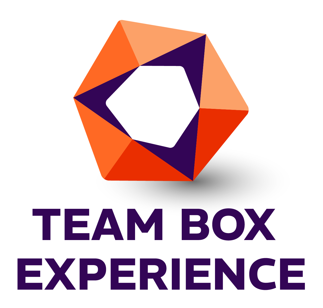 TEAM BOX EXPERIENCE